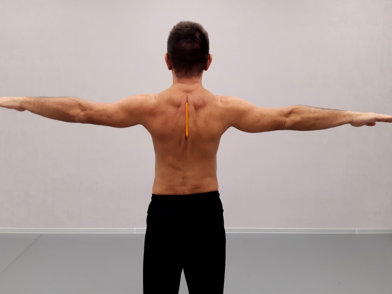мышцы спины в йоге