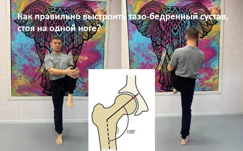 йога в Зябликово, на Шипиловской, Красногвардейской