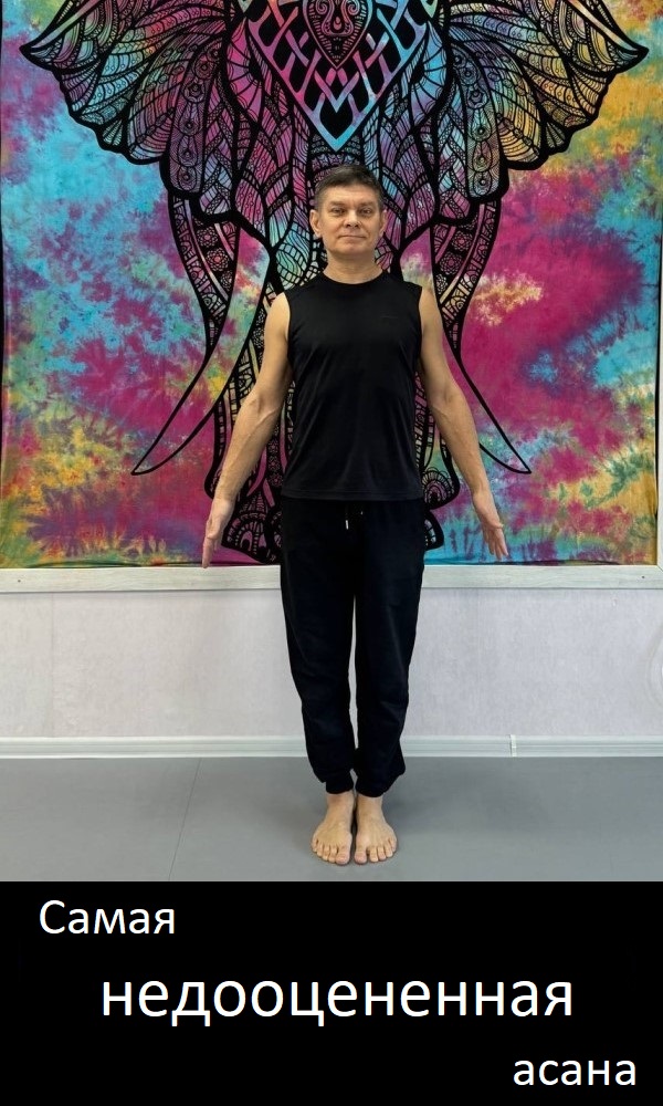 йога в Зябликово, на Шипиловской, Красногвардейской